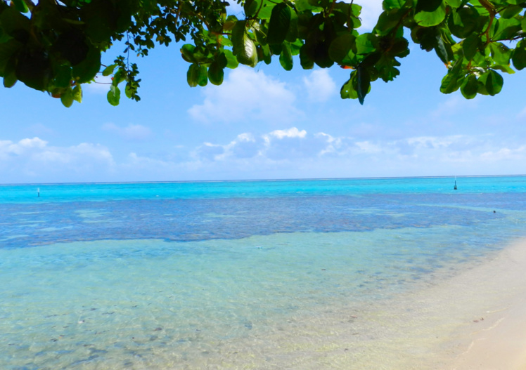 Moorea : un exercice pour éviter les noyades Moorea : un exercice pour éviter les noyades