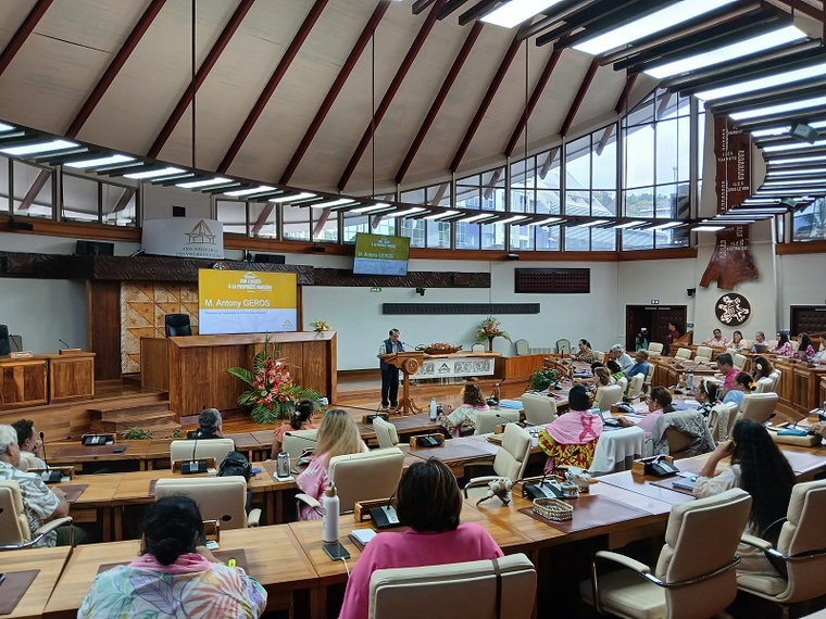 Le président de l'assemblée a clôturé le colloque sur l'accès à la propriété qui s'est tenu à Tarahoi et souhaite voir certaines des propositions se traduise en textes législatifs. SD