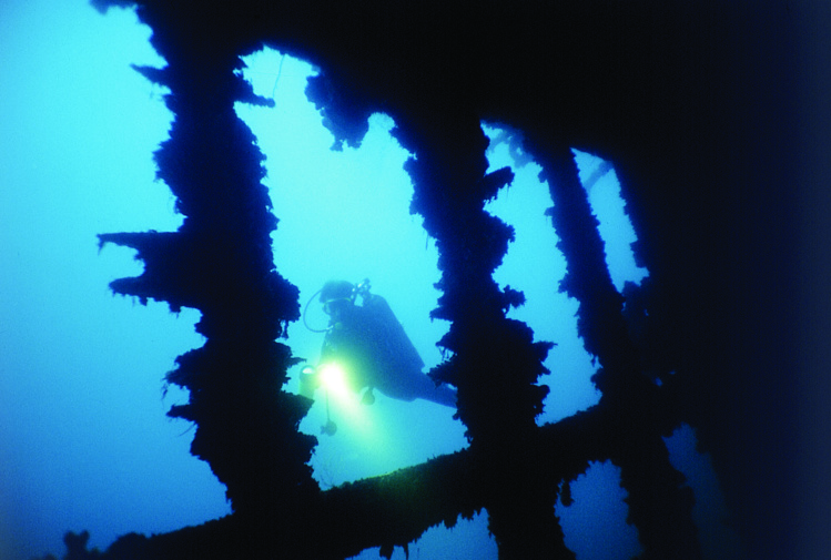 L’épave mesure une centaine de mètres de long. C’est sans doute la plus belle de Polynésie et, surtout, l’une des plus accessibles. L’épave mesure une centaine de mètres de long. C’est sans doute la plus belle de Polynésie et, surtout, l’une des plus accessibles.