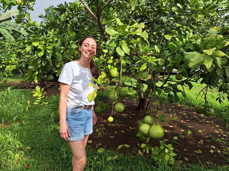 Le tour de l’île gourmand de Nina Métayer Le tour de l’île gourmand de Nina Métayer
