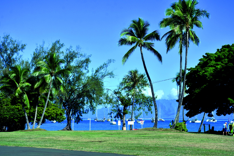 Le projet d’une plateforme flottante au large de Vaira’i divise l’opinion.