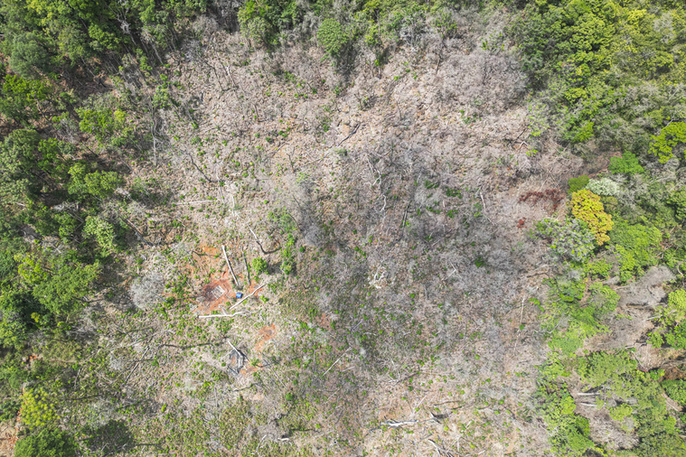 Crédit PATRICK MEINHARDT / AFP