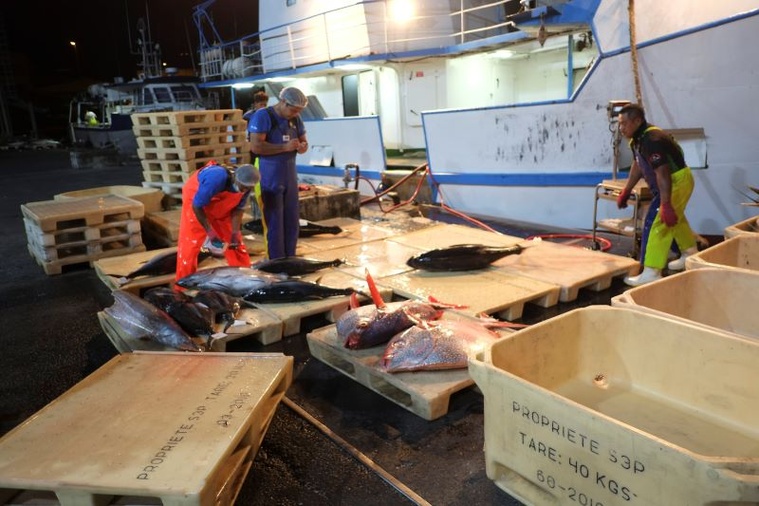 1,8 milliard pour moderniser le port 