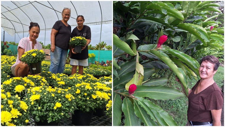 ​Les horticulteurs parés pour la Toussaint