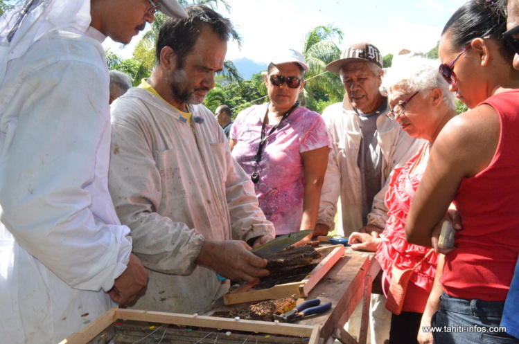 Une formation pour posséder les clés du métier d’apiculteur