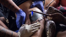 Festival du tatouage : une cinquième édition placée sous le signe du feu