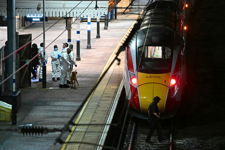 Crédit JUSTIN TALLIS / AFP Crédit JUSTIN TALLIS / AFP