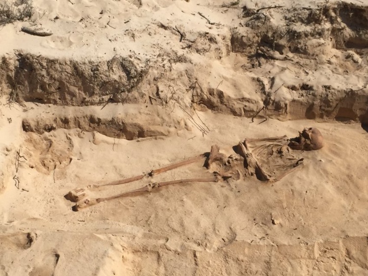 Le squelette de l’une des victimes de Corneliszoon.