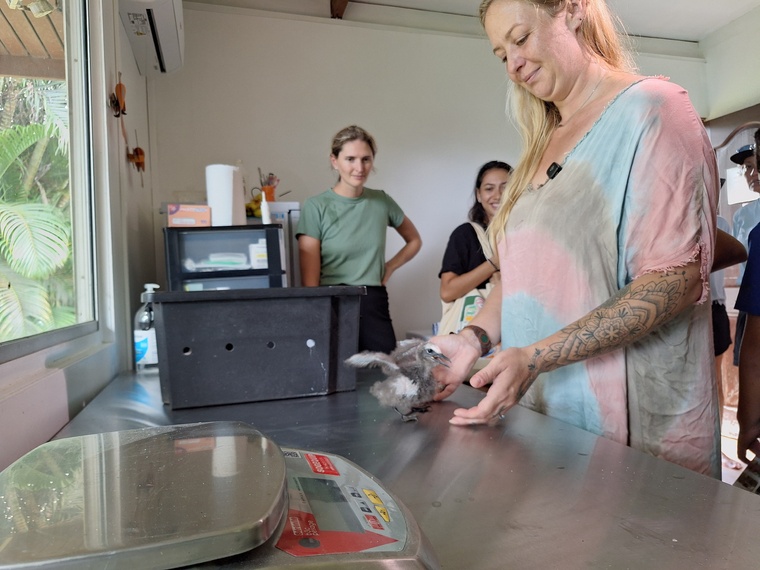 SOP Manu a inauguré son centre de soins en juillet. SOP Manu a inauguré son centre de soins en juillet.