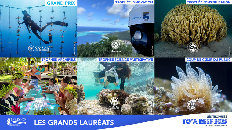 L’Ifrecor dévoile les 13 gagnants des trophées To’a Reef