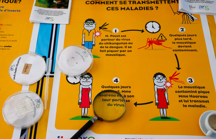 Ludovic MARIN / AFP Ludovic MARIN / AFP