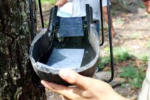 Zika: un piège à moustiques plus efficace, écologique et bon marché Zika: un piège à moustiques plus efficace, écologique et bon marché