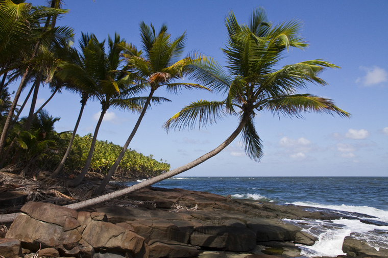 JODY AMIET / AFP JODY AMIET / AFP