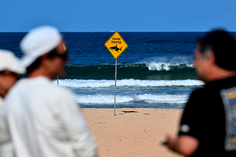 Crédit Saeed KHAN / AFP Crédit Saeed KHAN / AFP