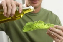 Les huiles végétales réduisent le cholestérol mais pas le risque cardiovasculaire Les huiles végétales réduisent le cholestérol mais pas le risque cardiovasculaire