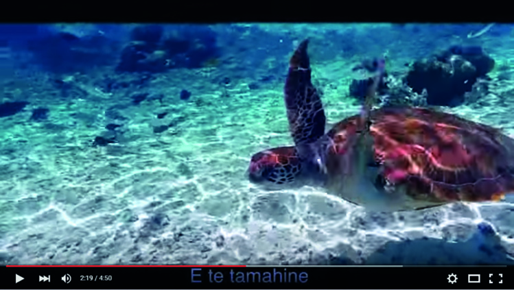 La journée polynésienne de la tortue est prévue le 19 avril.