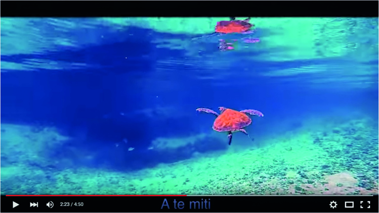 "Save me now - Honu iti e", le clip de Pheal'n pour sauver les tortues
