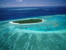 Même un faible réchauffement du climat affectera la Grande barrière de corail d'Australie Même un faible réchauffement du climat affectera la Grande barrière de corail d'Australie