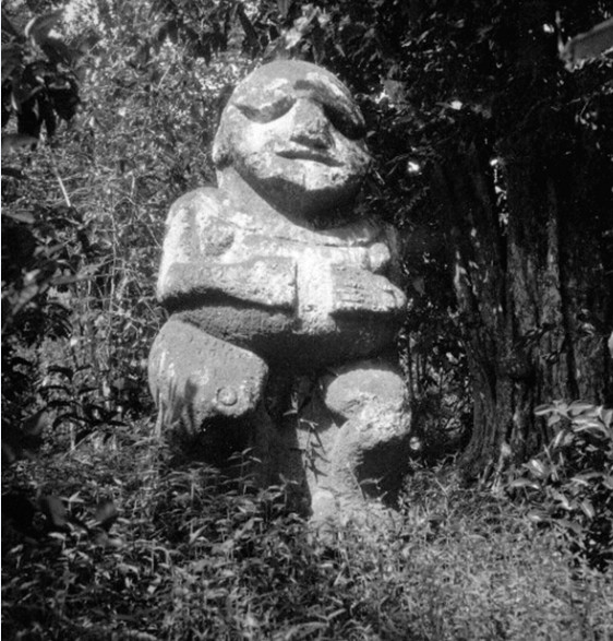Le gros tiki dans la brousse de Raivavae dans les années 1930. Photo Pierre Verger