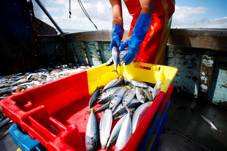 Crédit CHARLY TRIBALLEAU / AFP Crédit CHARLY TRIBALLEAU / AFP