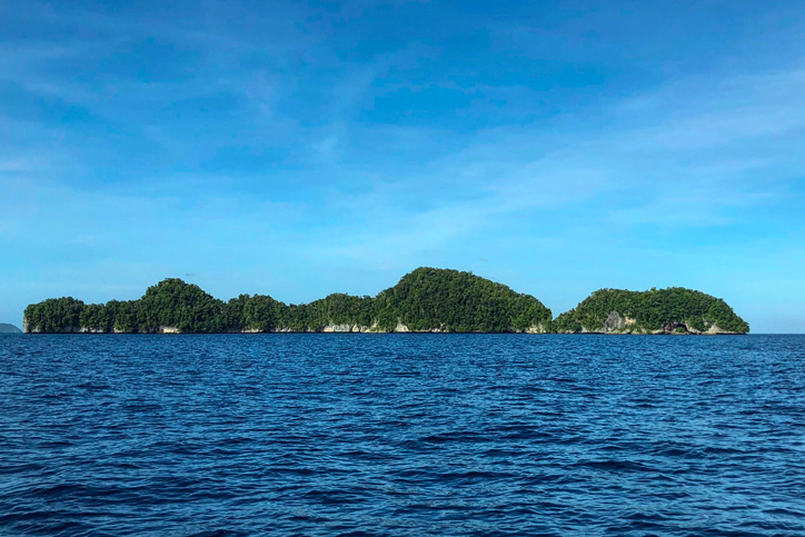 Crédit Mikhail FLORES / AFP