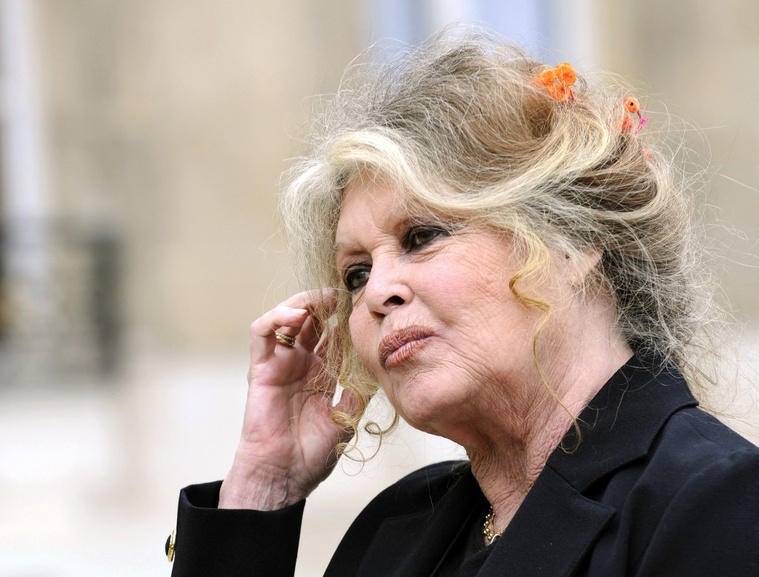 Brigitte Bardot, icône du 7e art et de la cause animale, est décédée