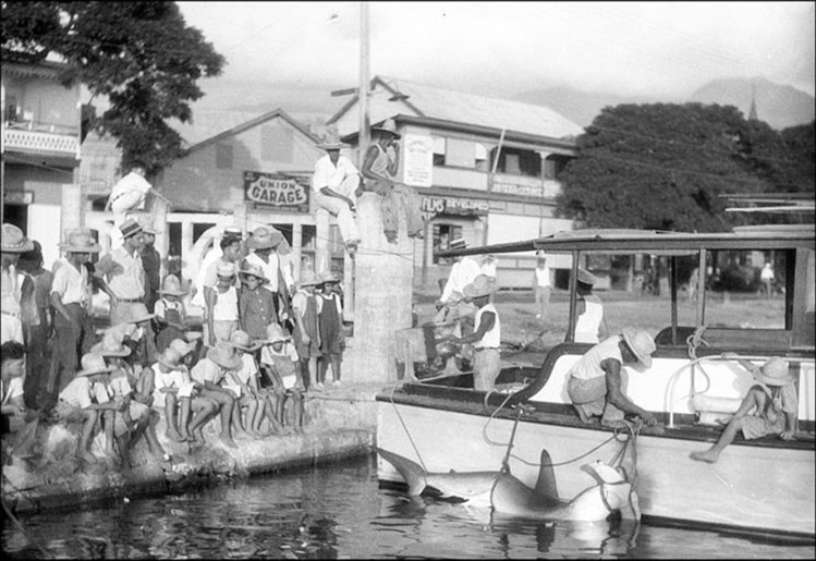 Papeete d’antan, le quai du commerce Papeete d’antan, le quai du commerce