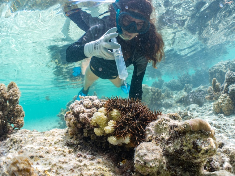 Rétrospective : Les faits marquants de l’actualité locale en 2025