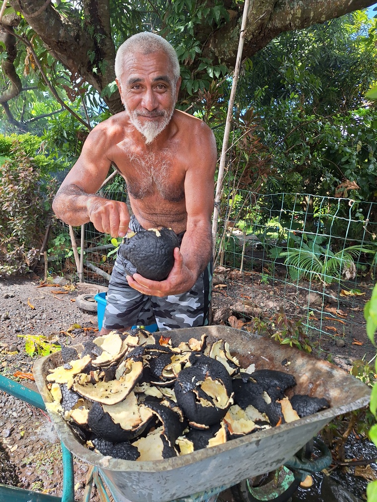 Aussitôt cuit, aussitôt décortiqué ! Aussitôt cuit, aussitôt décortiqué !
