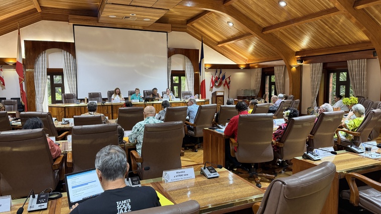 Le Cesec reconnaît le caractère louable de la démarche qui, selon l'institution, demande un certain nombre de clarifications pour améliorer sa lisibilité.