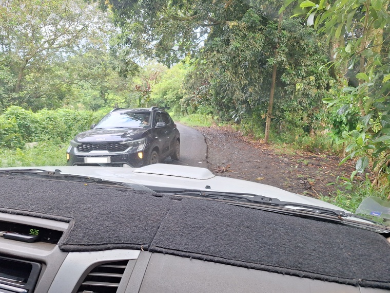 Croisements périlleux sur la déviation du plateau de Taravao (Crédit : Anne-Charlotte Lehartel). Croisements périlleux sur la déviation du plateau de Taravao (Crédit : Anne-Charlotte Lehartel).
