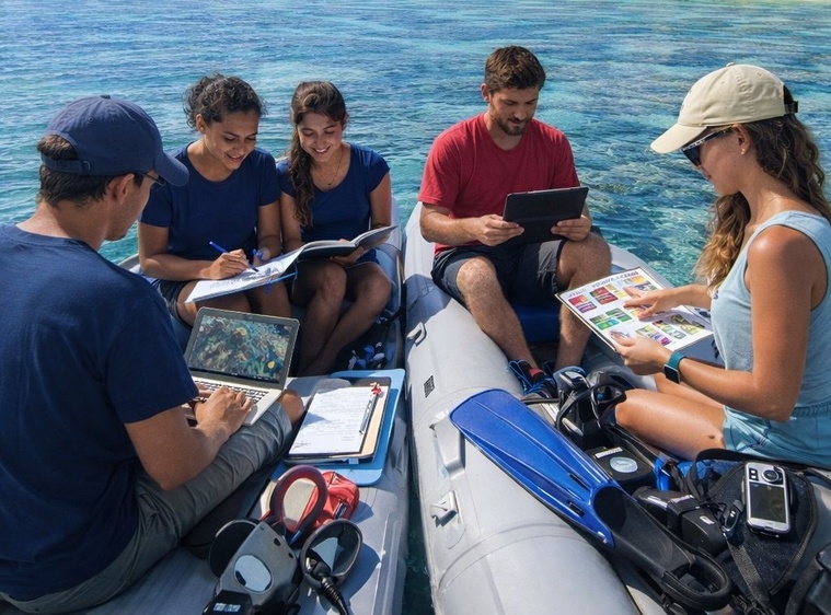 Une nouvelle licence “Océan et défis durables” ouvre à l’UPF
