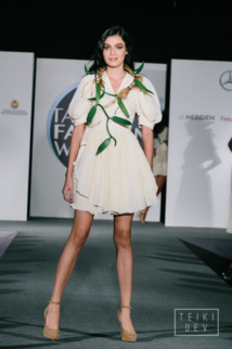 défilé 2015 - Crédit : Teikidev. défilé 2015 - Crédit : Teikidev.