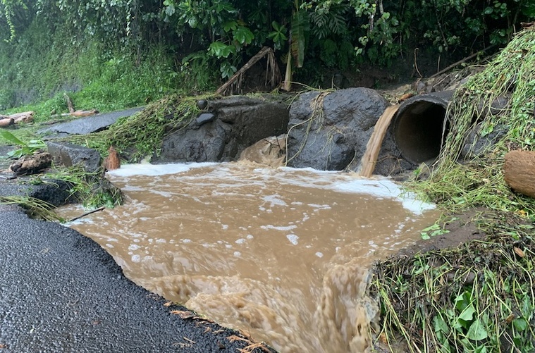 Recrudescence de cas de leptospirose Recrudescence de cas de leptospirose