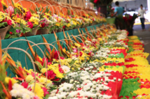 Une 7e édition des Floralies du 26 mai au 5 juin