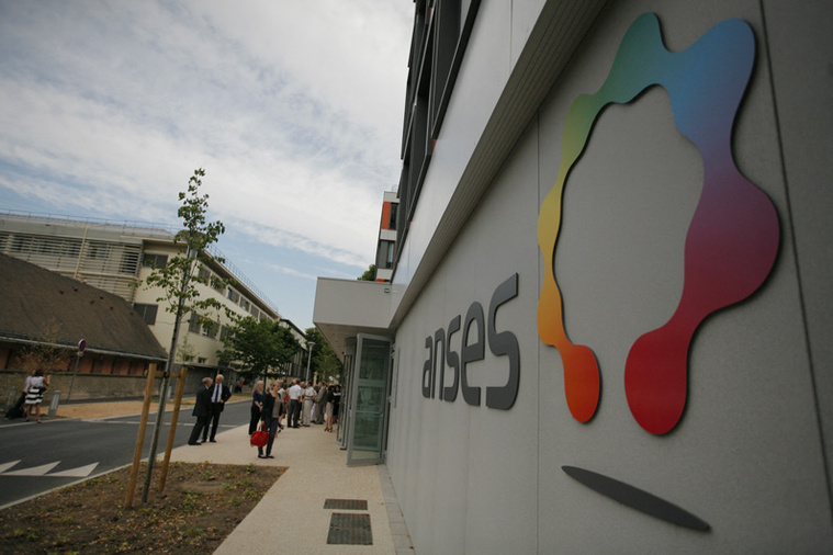 Crédit MATTHIEU ALEXANDRE / AFP Crédit MATTHIEU ALEXANDRE / AFP