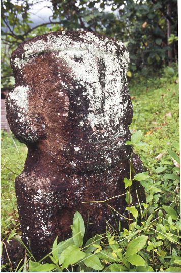 L'un des trois tiki à oreilles décollées, sur le site de Meaiaute, en pleine forêt, au-dessus de Hane. Le lieu a été débroussaillé une première fois en 1920 (il y aurait eu alors, sur place, cinq tiki), puis restauré officiellement en 1963.