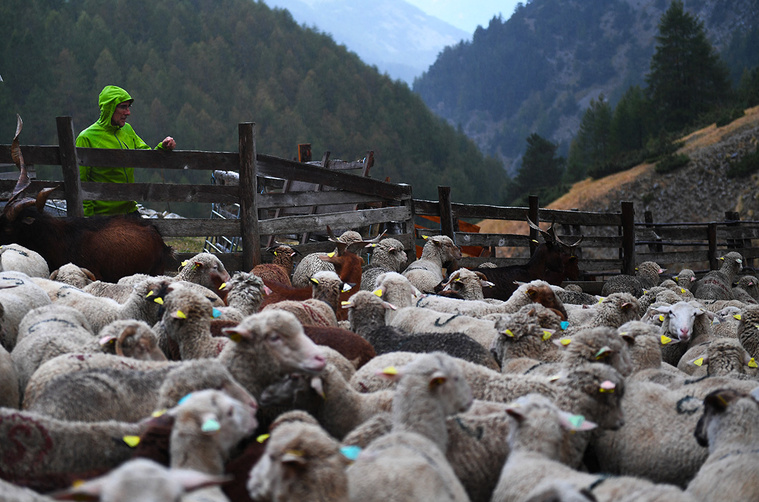 Crédit ANNE-CHRISTINE POUJOULAT / AFP Crédit ANNE-CHRISTINE POUJOULAT / AFP