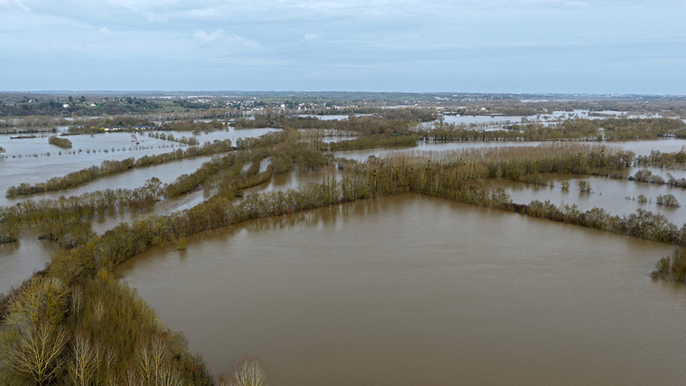 Crédit DAMIEN MEYER / AFP