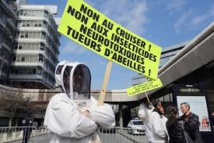 Loi biodiversité/abeilles: les néonicotinoïdes au coeur des débats Loi biodiversité/abeilles: les néonicotinoïdes au coeur des débats