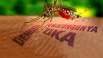 Premier cas de virus Zika détecté à Singapour