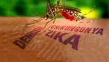 Premier cas de virus Zika détecté à Singapour Premier cas de virus Zika détecté à Singapour