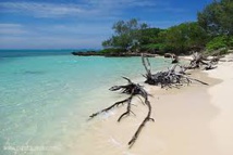 A Poé en Nouvelle-Calédonie, la peur du requin effraie les touristes