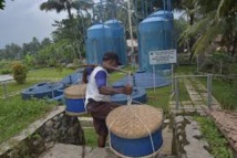 Dans un village d'Indonésie, du jus de tofu transformé en électricité verte Dans un village d'Indonésie, du jus de tofu transformé en électricité verte