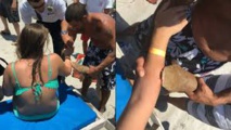 Floride: une nageuse emmenée à l'hôpital avec un requin mordant encore son bras