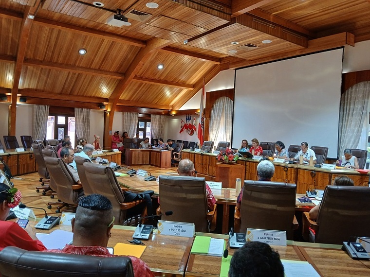 Statut des artisans : un feu vert du Cesec éclipsé par la réforme RNS Statut des artisans : un feu vert du Cesec éclipsé par la réforme RNS