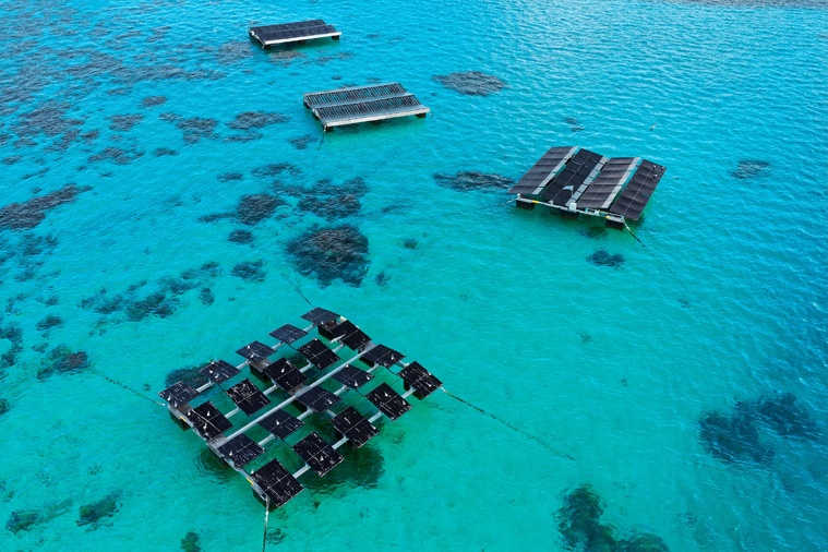 Des panneaux solaires pour sauver le corail Des panneaux solaires pour sauver le corail