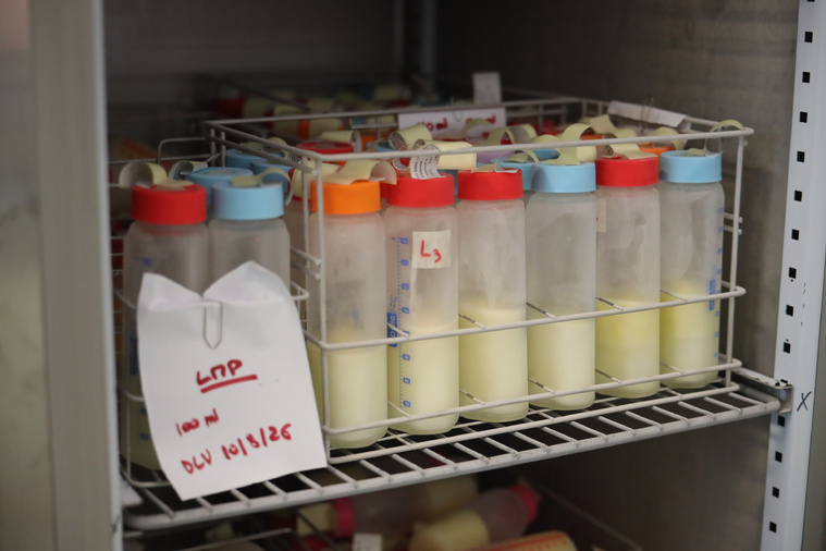 “Donner son lait sauve des vies, mais parfois cela vient à manquer” “Donner son lait sauve des vies, mais parfois cela vient à manquer”