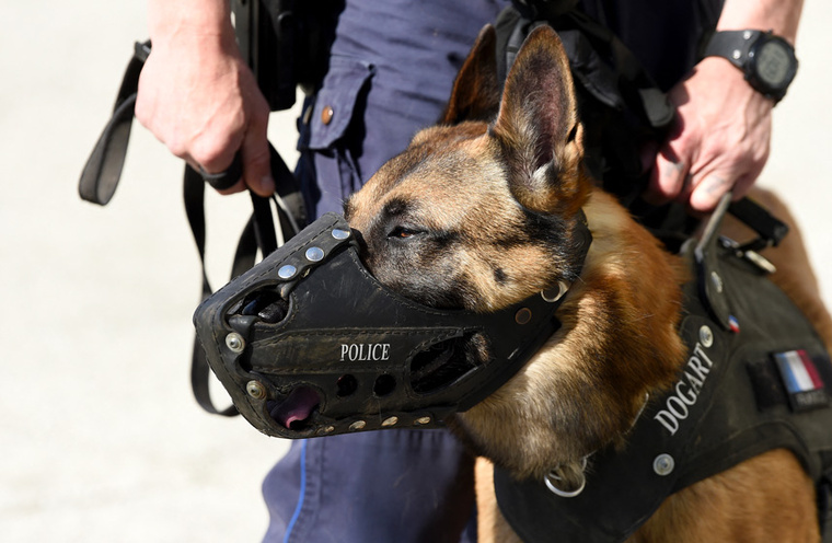 Crédit Nicolas TUCAT / AFP Crédit Nicolas TUCAT / AFP