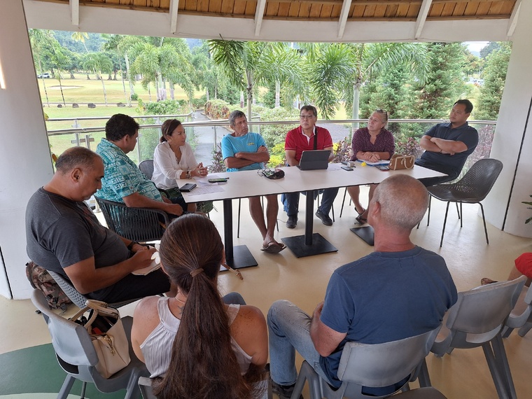 Pesticides, “la charrue avant les bœufs” pour le SAP Pesticides, “la charrue avant les bœufs” pour le SAP